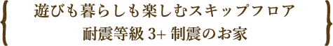 遊びも暮らしも楽しむスキップフロア 耐震等級3+制震のお家