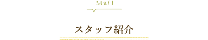 スタッフ紹介