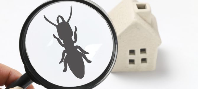 SEEDHOMEのシロアリ対策①