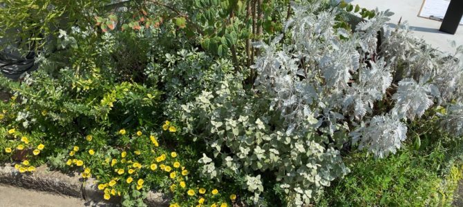 ☆今日の現場☆ ☆今日の現場☆