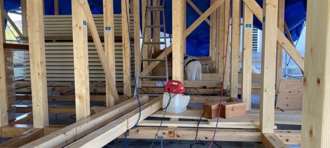 人体にやさしい防腐・防蟻処理(シロアリ対策) 人体にやさしい防腐・防蟻処理(シロアリ対策)