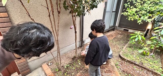 解体前に・・　～羽曳野市S様邸～
