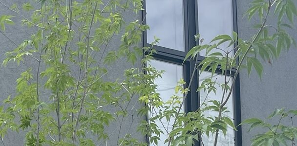 窓の性能はどうなっているの? 窓の性能はどうなっているの?