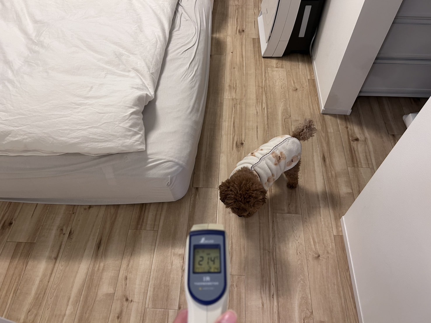 BLOG　堺市の工務店　SEEDHOME