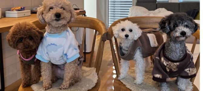 ＳＥＥＤＨＯＭＥ　スタートです！