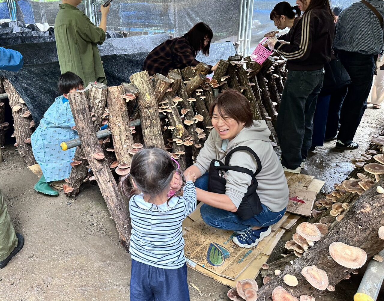 【高性能住宅・耐震等級3】堺市、富田林市、大阪狭山市で注文住宅ありがとうの家を建てるSEEDHOME