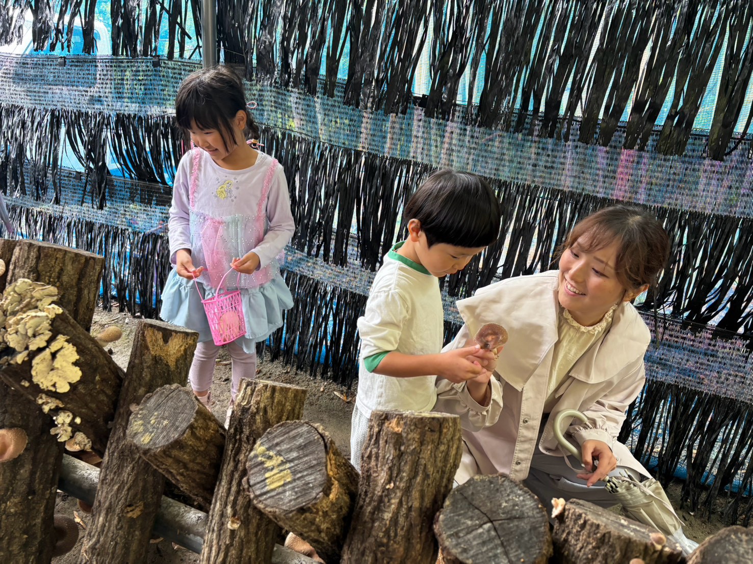 高性能住宅・耐震等級3】堺市、富田林市、大阪狭山市で注文住宅ありがとうの家を建てるSEEDHOME
